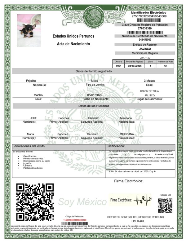 Acta de nacimiento "Lomitos" Fisica