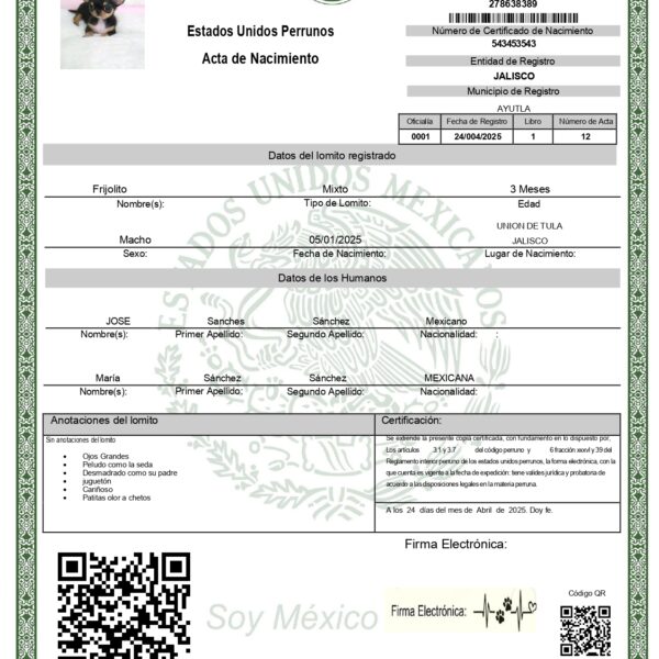 Acta de Nacimiento "Lomitos Digital"