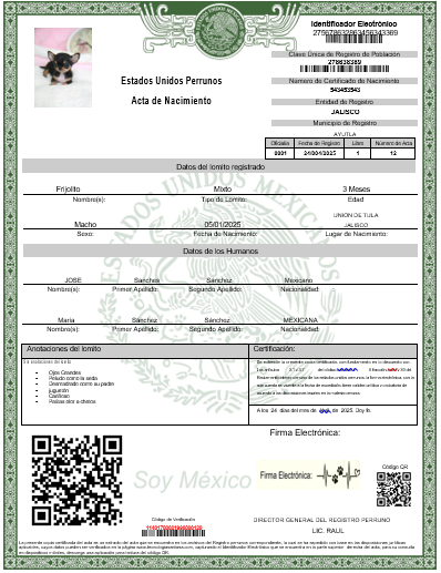 ACTA DE NACIMIENTO PARA LOMITO (DIGITAL) - Image 2